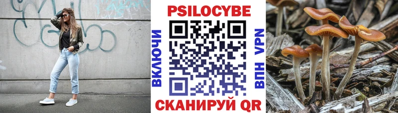 Псилоцибиновые грибы Psilocybine cubensis  даркнет сайт  Северо-Курильск 